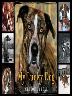 cover image of My Lucky Dog